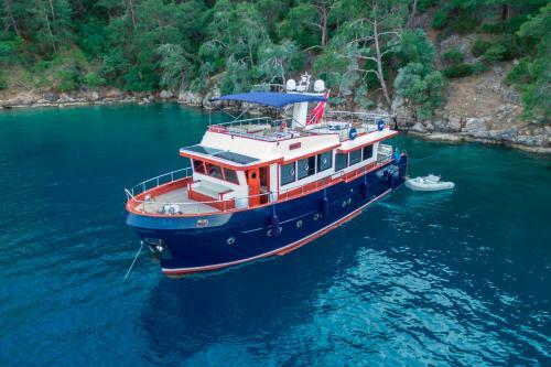Ada Dreams / Boat