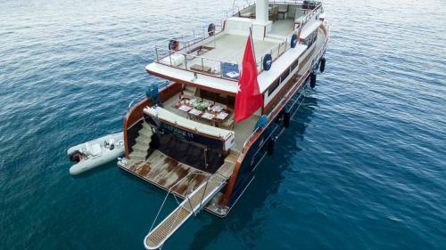 Ada Dreams / Boat