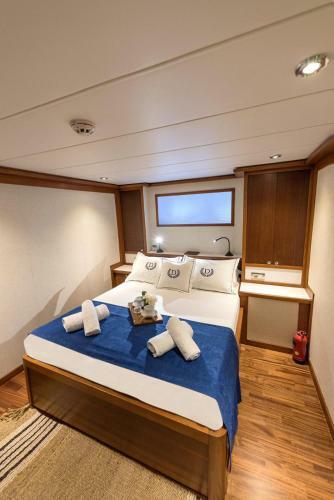 Ada Dreams / Boat