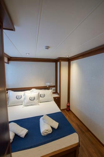 Ada Dreams / Boat