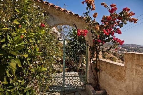 Villa Thetis