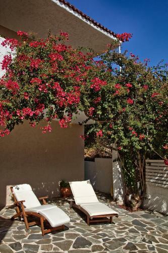 Villa Thetis