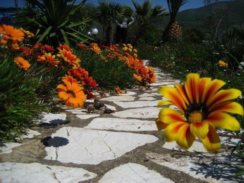Apartamento Bungalows Lemoni