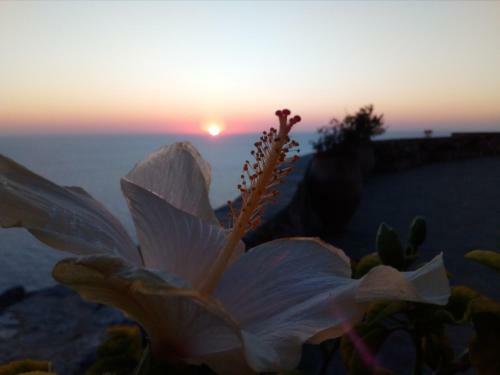 Apartamento Olympos Archipelagos