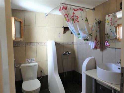 Apartamentos Ostria Studios