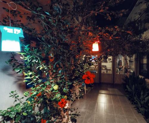 Miss Hotel Karya