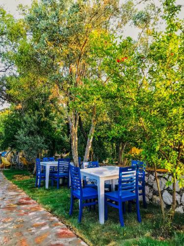 Hotel Zeytin Dal? Butik Otel & Beach