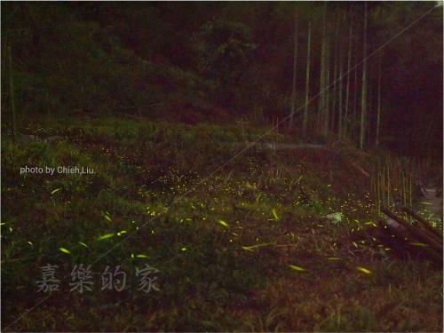 Jia's Homestay