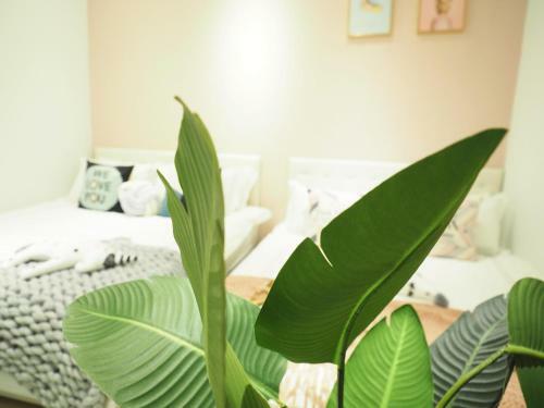 Apartamento Fu Yang