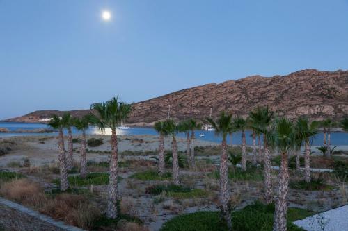 Hostal Venus Rooms