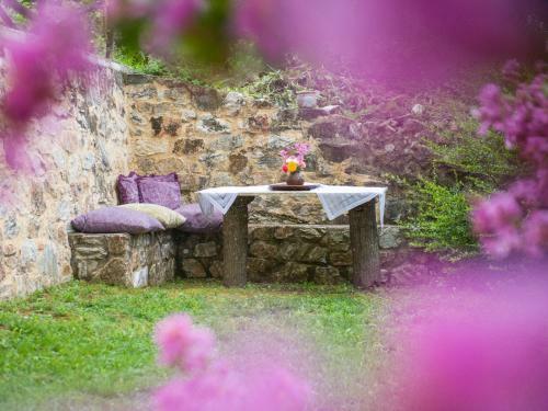 Hostal Archontiko