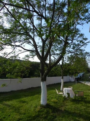 Apartamento Spasmeni Vrisi