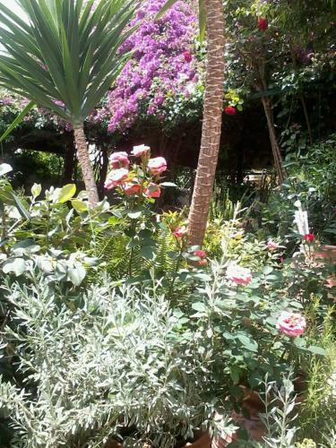 Apartamento Meliti Guesthouse