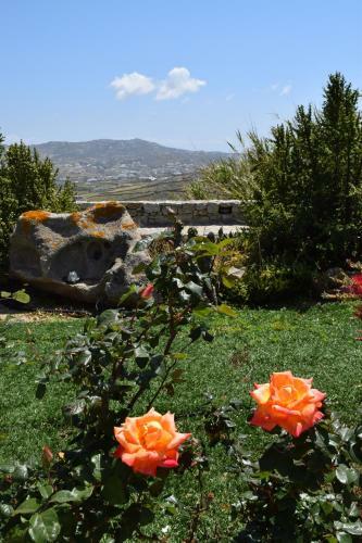 Villa Irini