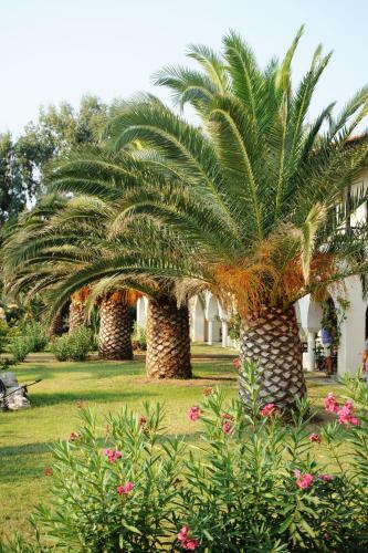 Hotel Assa Maris Bomo Club