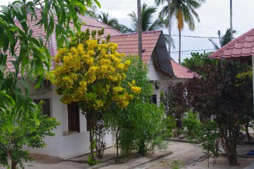 Hotel Vuai Bungalow