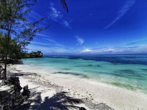 Hotel Coco Reef Ecolodge