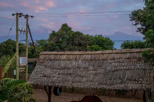 Hotel The Comfy Stay