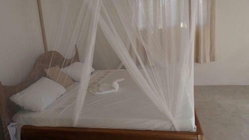 Hotel Shamba Lodge