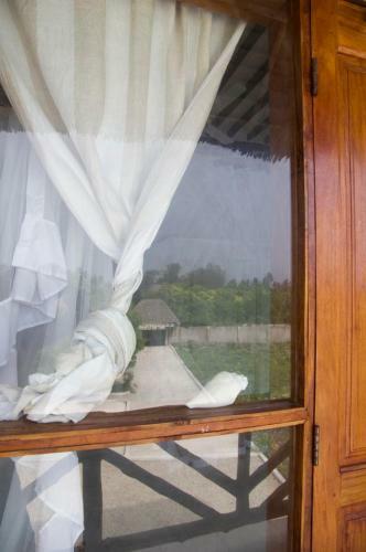 Hotel Shamba Lodge