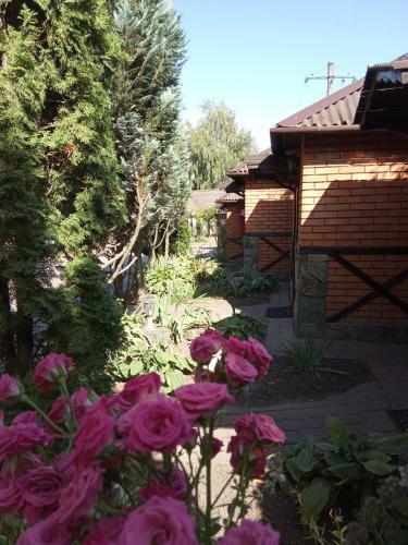 Albergue ?????? 24