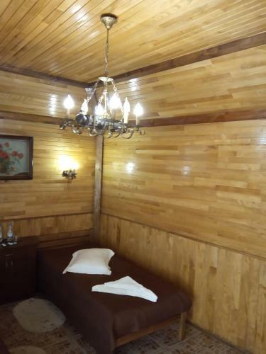 Albergue ?????? 24