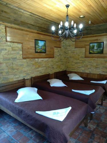 Albergue ?????? 24