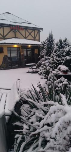 Albergue ?????? 24