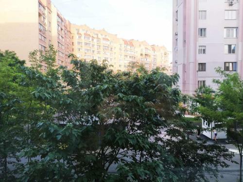 Apartamento ???????? ? ?????? (??????????? ?????. ??????? ??????????. ????????? ????????)