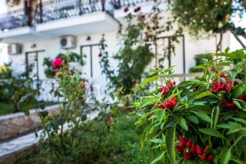 Apartamento Avouris Studios