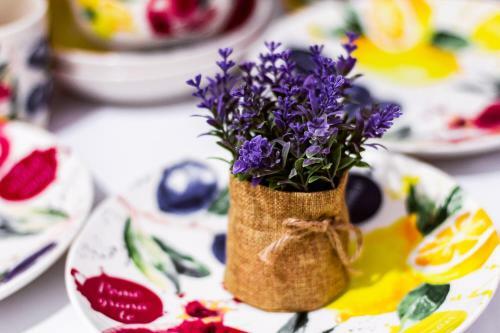 Apartamento Rose D'opera Hotel
