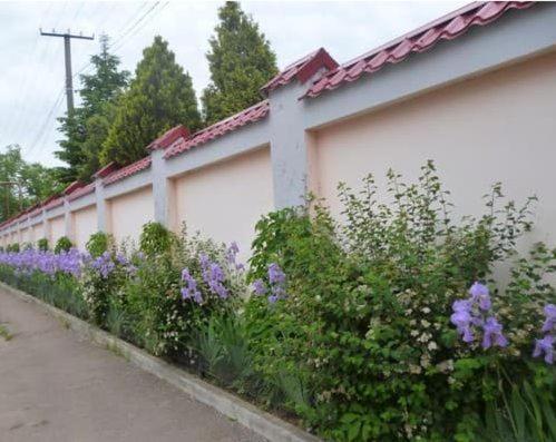 Hotel ??????:korsar