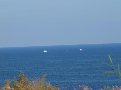 Hotel ??????:korsar