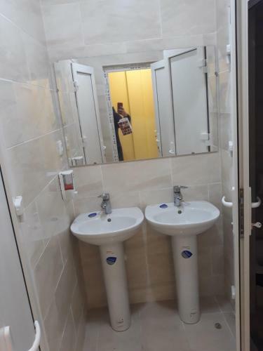 Albergue ?????? ?? ?????