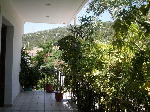 Apartamento Erminia Studios
