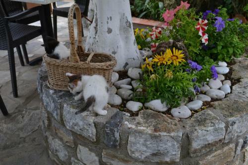 Hostal Mystras Castle Town