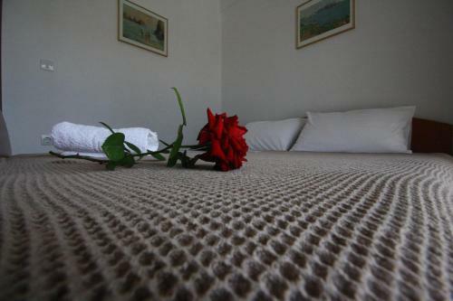 Pavloudis Apartments