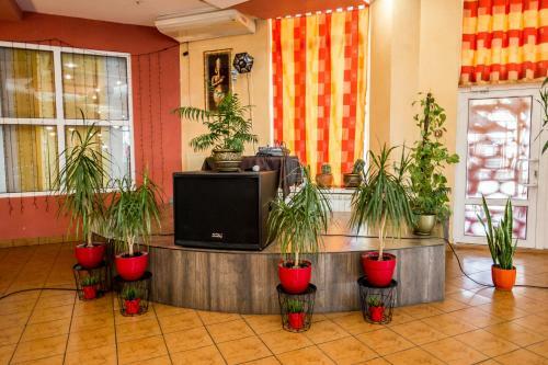 Hotel Dalos