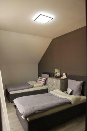 Apartamento Uzhorod 3 Room Lovely House