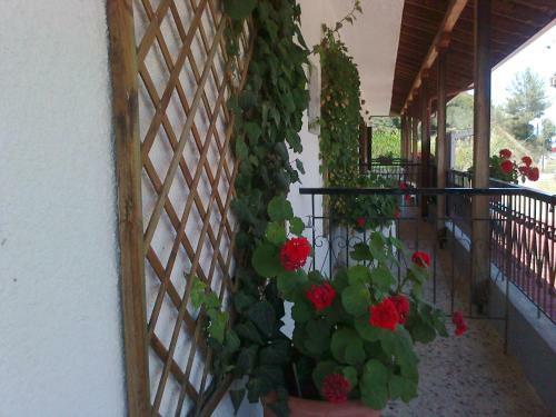 Hostal El Capitan