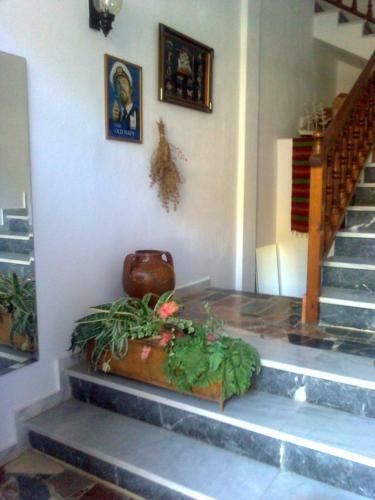 Hostal El Capitan