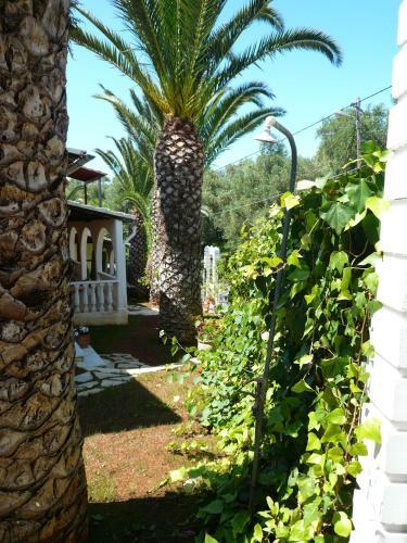 Athina Apartments