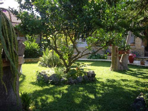 Alex Studios & Apartments