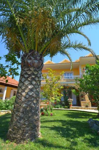 Alex Studios & Apartments
