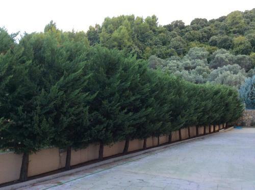 Apartamento Achladi Beach