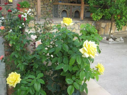 Apartamento Achladi Beach