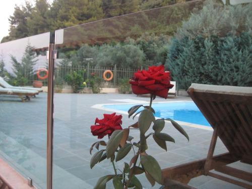 Apartamento Achladi Beach