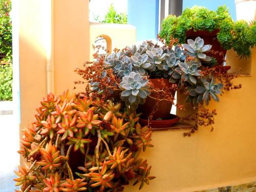 Apartamento Studios Papafotis
