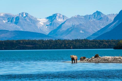 Sockeye Salmon - Kenai Kuik Cabins - River Access Cabin