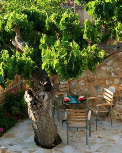 Villa Sarris House